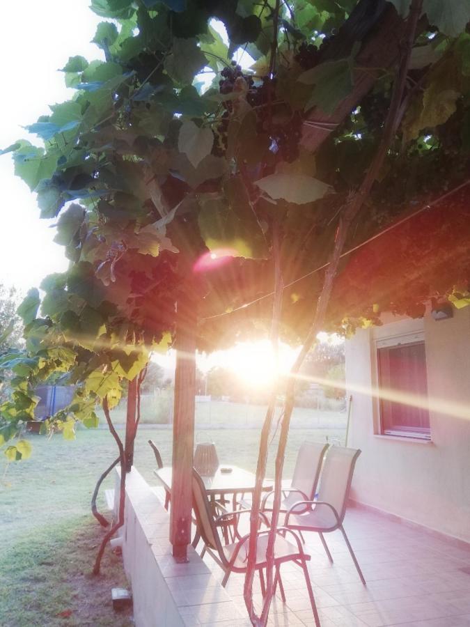 אולימפיאדה Mirini • Ancient Stagira Apts • Chalkidiki מראה חיצוני תמונה
