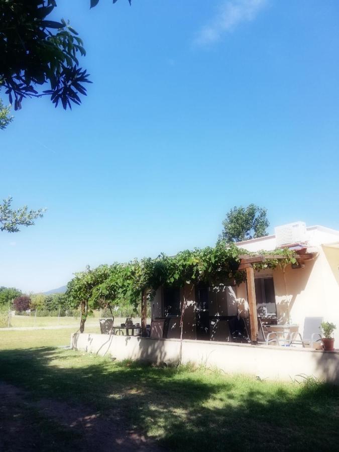 אולימפיאדה Mirini • Ancient Stagira Apts • Chalkidiki מראה חיצוני תמונה
