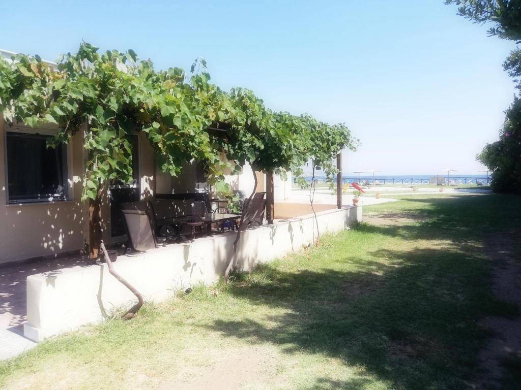 אולימפיאדה Mirini • Ancient Stagira Apts • Chalkidiki מראה חיצוני תמונה